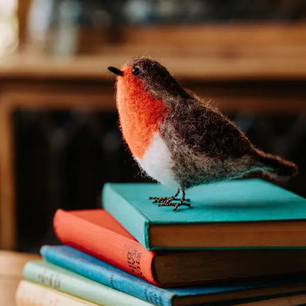 Robin Needle Felting Kit